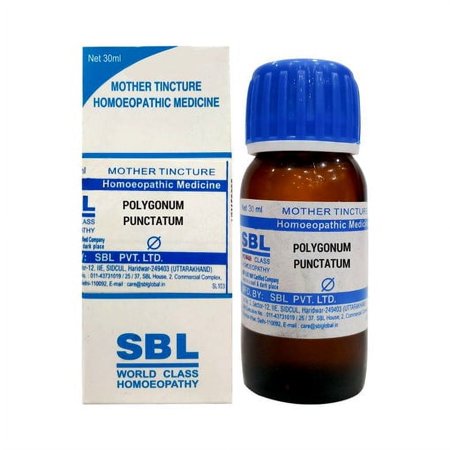 SBL Polygonum Punctatum Mother Tincture