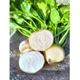 thumbnail image 4 of TomorrowSeeds - White Albino Beet Seeds - 600+ Count - For 2026 Planting Mangel Turnip Garden, 4 of 9