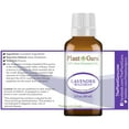 thumbnail image 2 of Lavender Essential Oil 30 ml. / 1 oz. (Bulgarian) 100% Pure Natural Undiluted Therapeutic Grade For Skin, Body and Hair Growth, Aromatherapy Diffuser, Great for Relaxation and Calming., 2 of 5