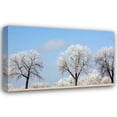 thumbnail image 1 of Tammy Putman 40x27 Gallery Wrapped Canvas Wall Art Titled - Frozen Fog I, 1 of 4