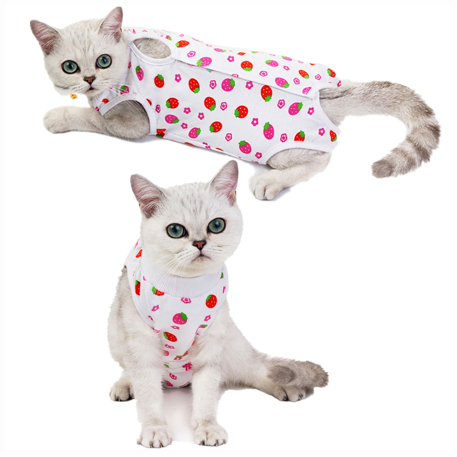 CHBORLESS Cat Postoperative Recovery Clothing Kitten Protective Anti ...