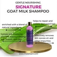 thumbnail image 2 of I'mat Dream Brand, Signature Goat Milk Hydration Shampoo, Organic Aloe, Sulfate Free, All Hair Types, 2 of 4