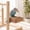 Brown,S, variant on Paper Bird Platforms,Shreddable Bird Cardboard Platforms, Natural Parrot Chew Toy and Perch, Paper Bird Playground for Macaws, Conures, Budgies, Cockatiel, Lovebird, Small Birds