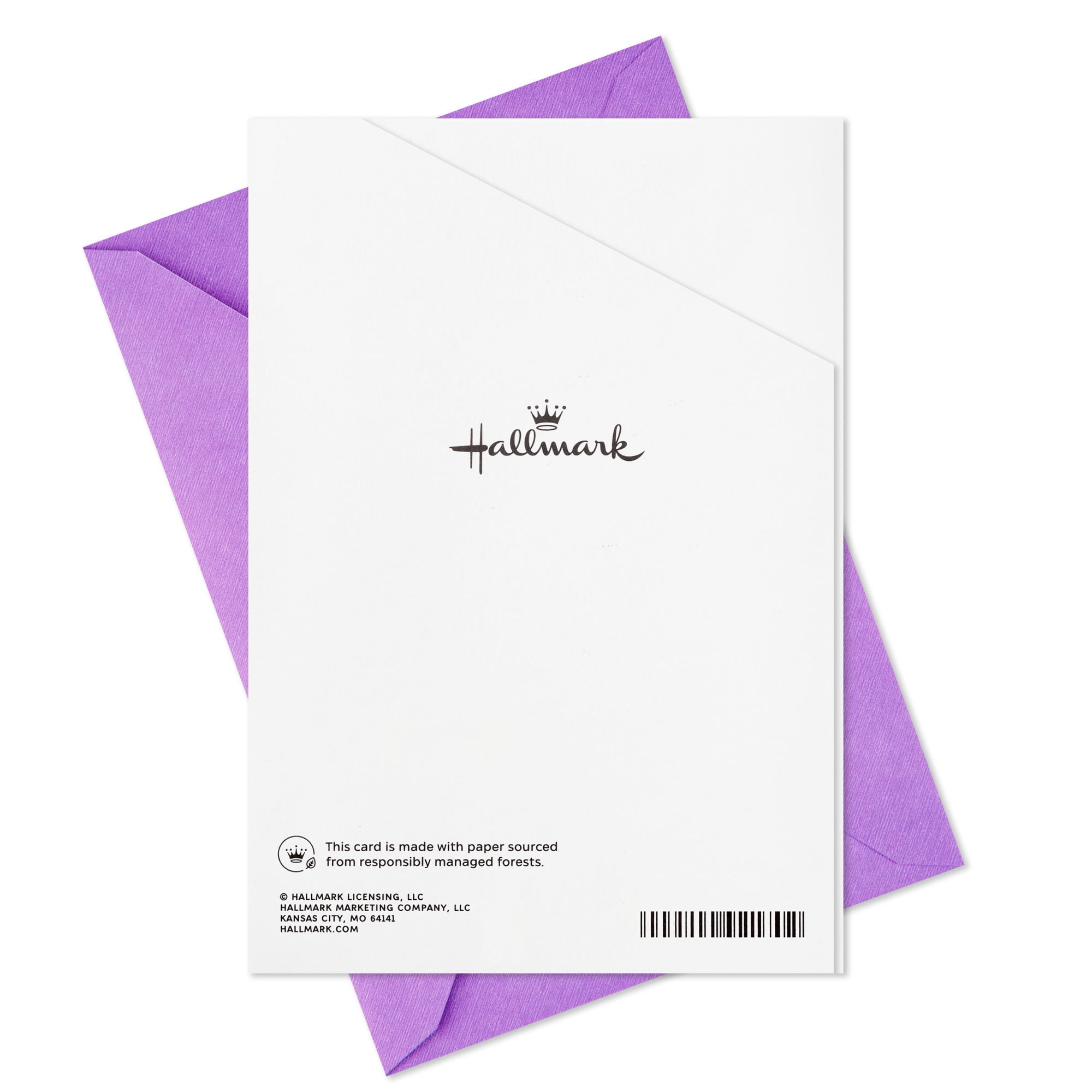 Hallmark Birthday Card for Sister (You Make the Good Times More Fun)