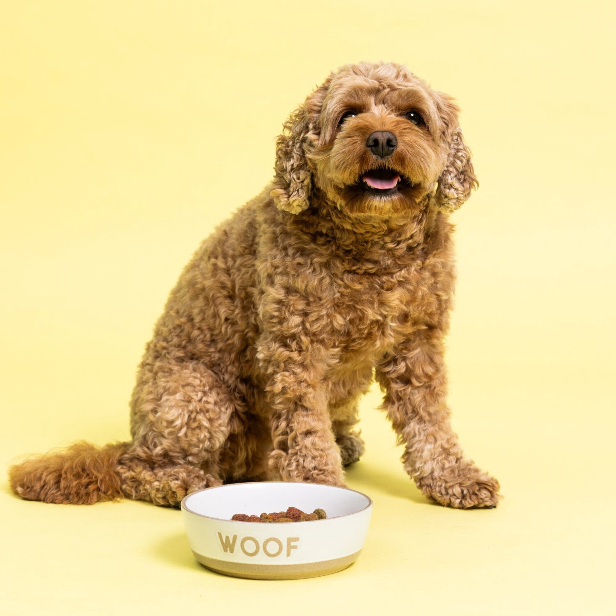 Mason Cash: Woof Dog Bowl - 5.9", 18.6oz - Cream & Tan - Durable Ceramic Food & Water Dish, Microwave & Dishwasher Safe, Pet Meal Feeding & Hydration