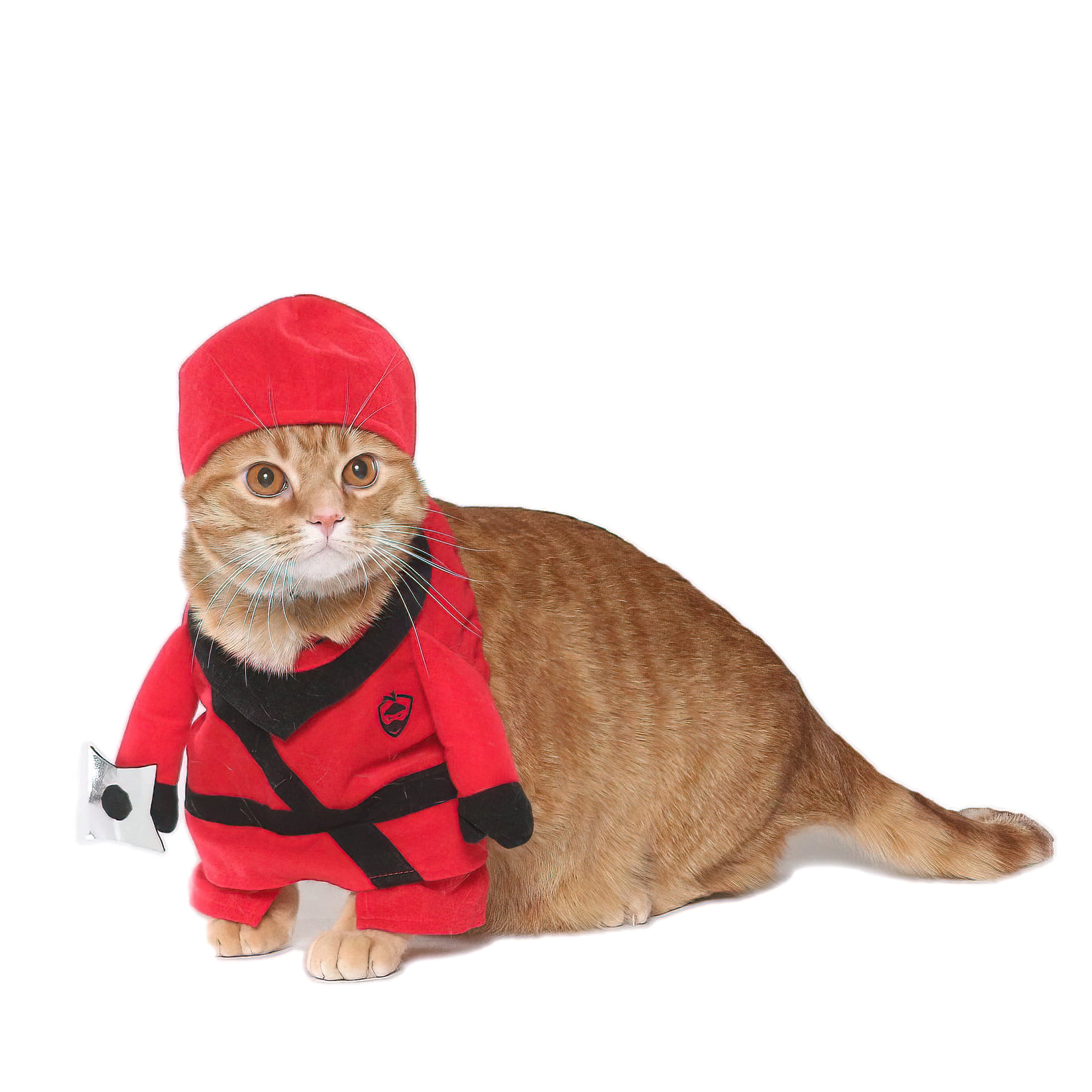 Chihuahua Ninja Costume