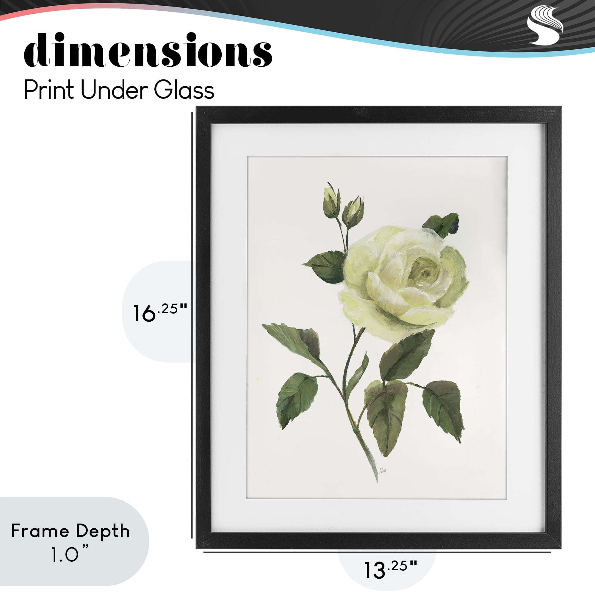 Stupell Industries Cream Garden Rose with Buds Black Framed Print Under Glass, design by Nan