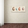 thumbnail image 3 of Trademark Fine Art "Spiced Nature XIII" Canvas Art by Lisa Audit, 3 of 3