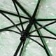 thumbnail image 4 of Cherry Blossom Umbrella Transparent Clear Umbrellas 8 Ribs Folding Umbrellas for Adult Kids Men and Women of All Ages, 4 of 8
