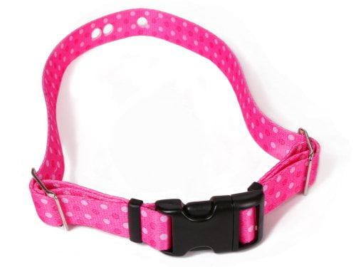 sportdog electric fence collar