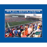 Florida Gators Stadium Puzzle