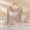 Beige, variant on Vinsonshop Long Sleeve Tops for Women Built in Padded Bra Square Neck Base Layer Undershirt Casual Lounge Daily T-shirt White XL