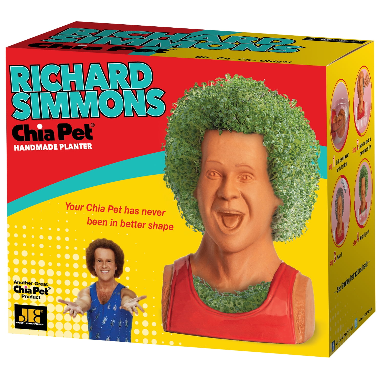 Chia Pet Richard Simmons - Decorative Pot Easy to Do Fun to Grow Chia Seeds  - Walmart.com