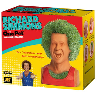 Bob Ross Chia Pet - New - general for sale - by owner - craigslist