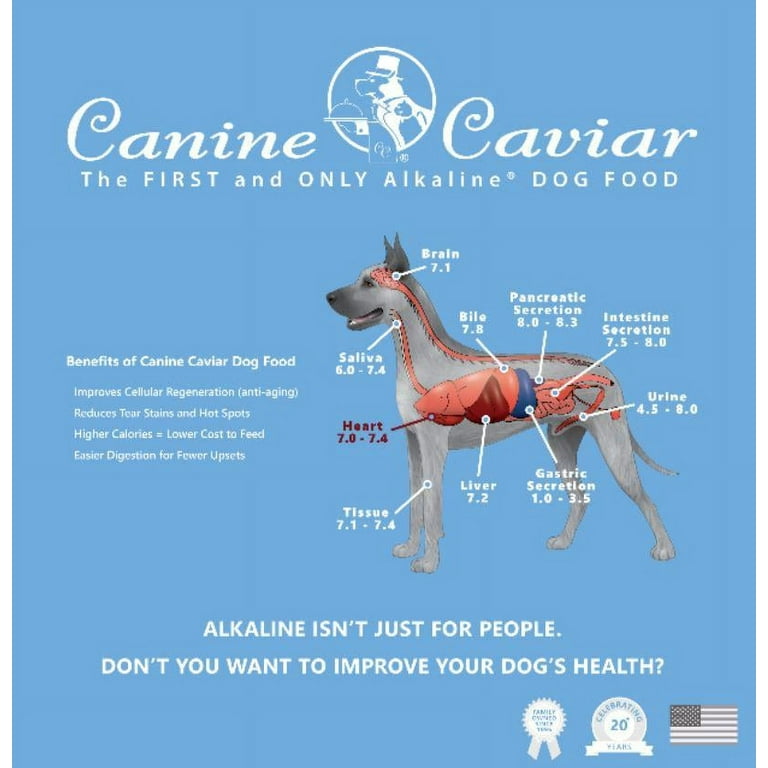 Canine caviar top special needs