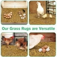thumbnail image 3 of 4 PCS Washable Chicken Nesting Pads,11.8x11.8 Artificial Grass Turf Reusable Chickens Nest Box Bedding Liners for Hen Coop Egg Duck Goose, 3 of 5