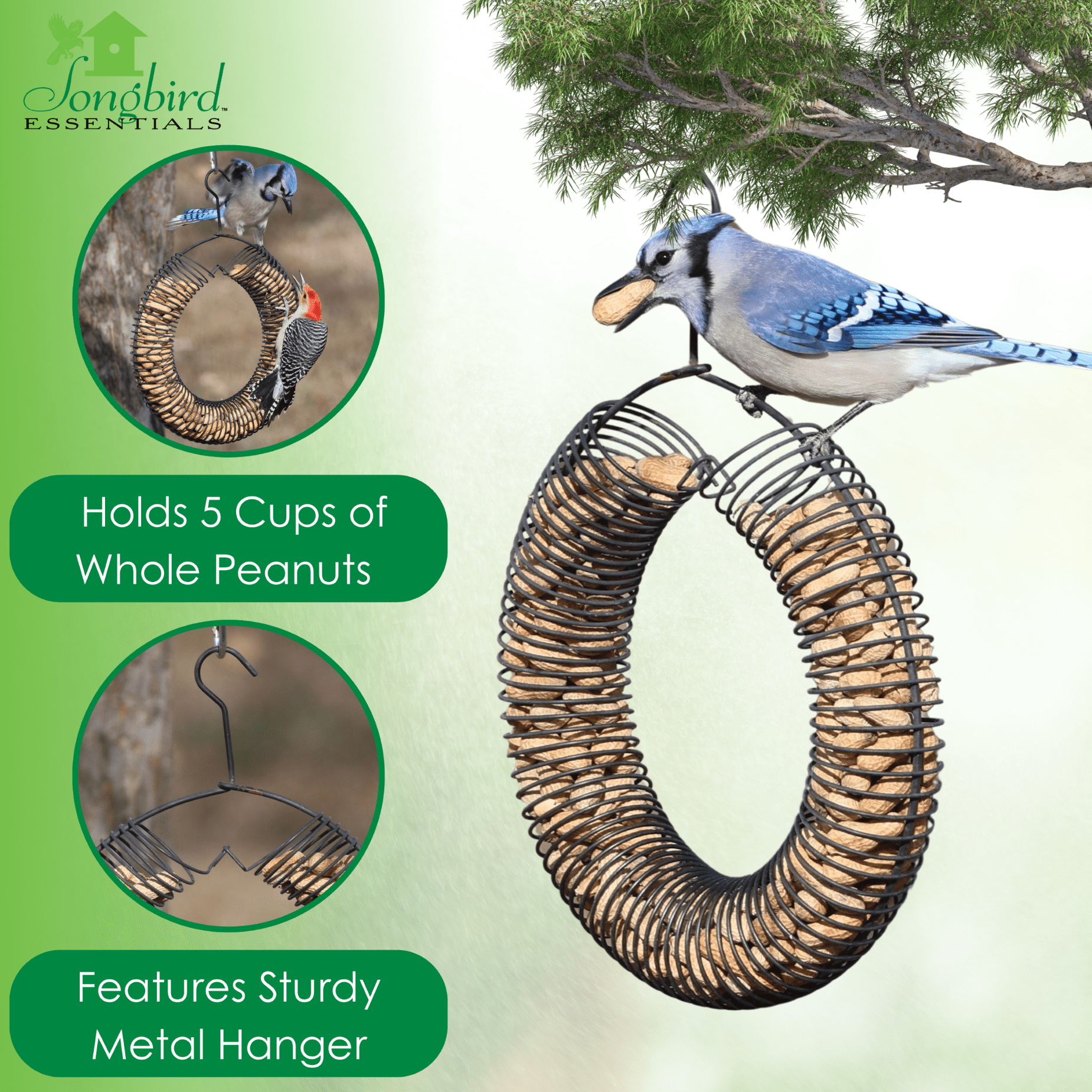 Songbird Essentials Bird Feeder Squirrel Feeder Whole Peanuts Wreath Black