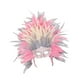 thumbnail image 3 of Tocado de plumas, accesorio de disfraz para carnaval, espectáculos escénicos Rosa Gris, 3 of 9