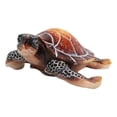View all media