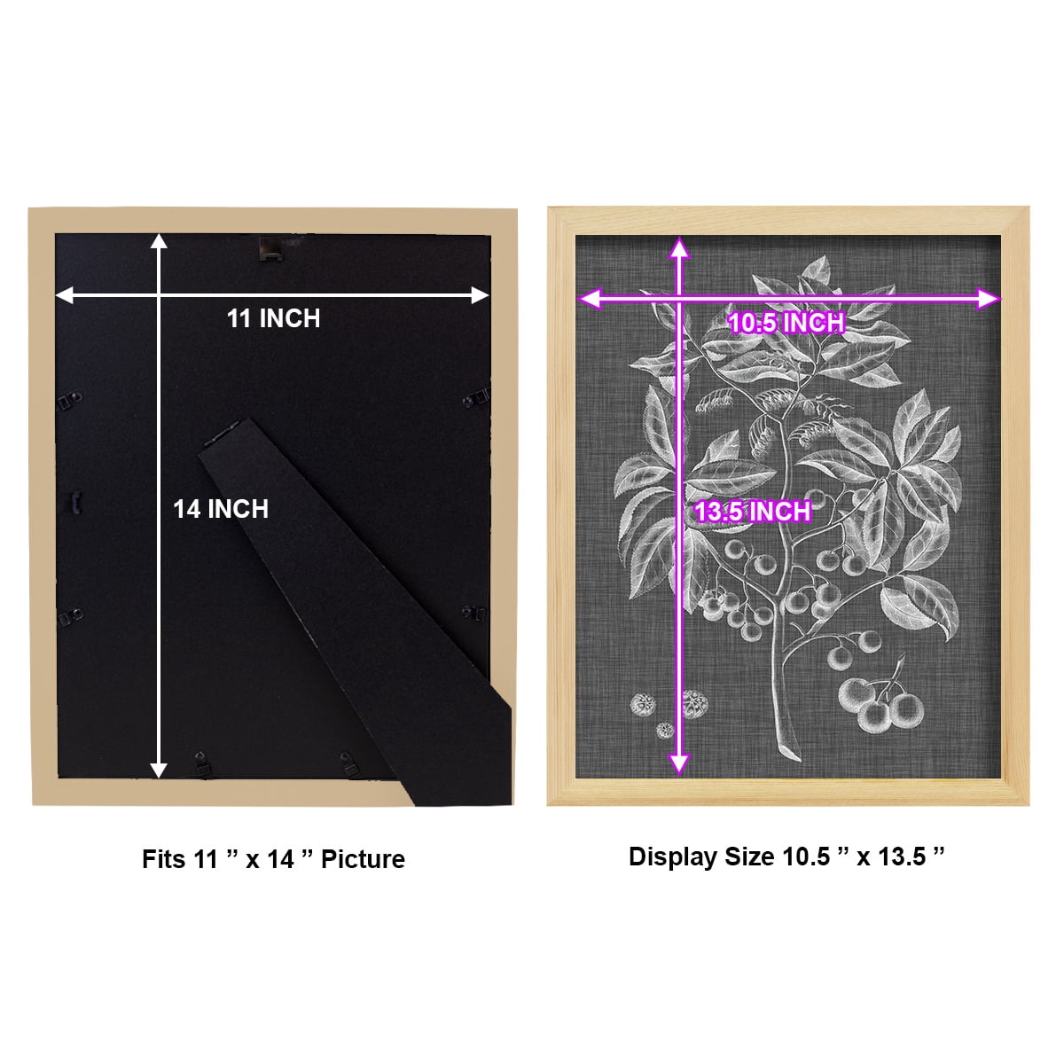 Graphic Foliage VI - Framed Print w/glass - Natural Wood