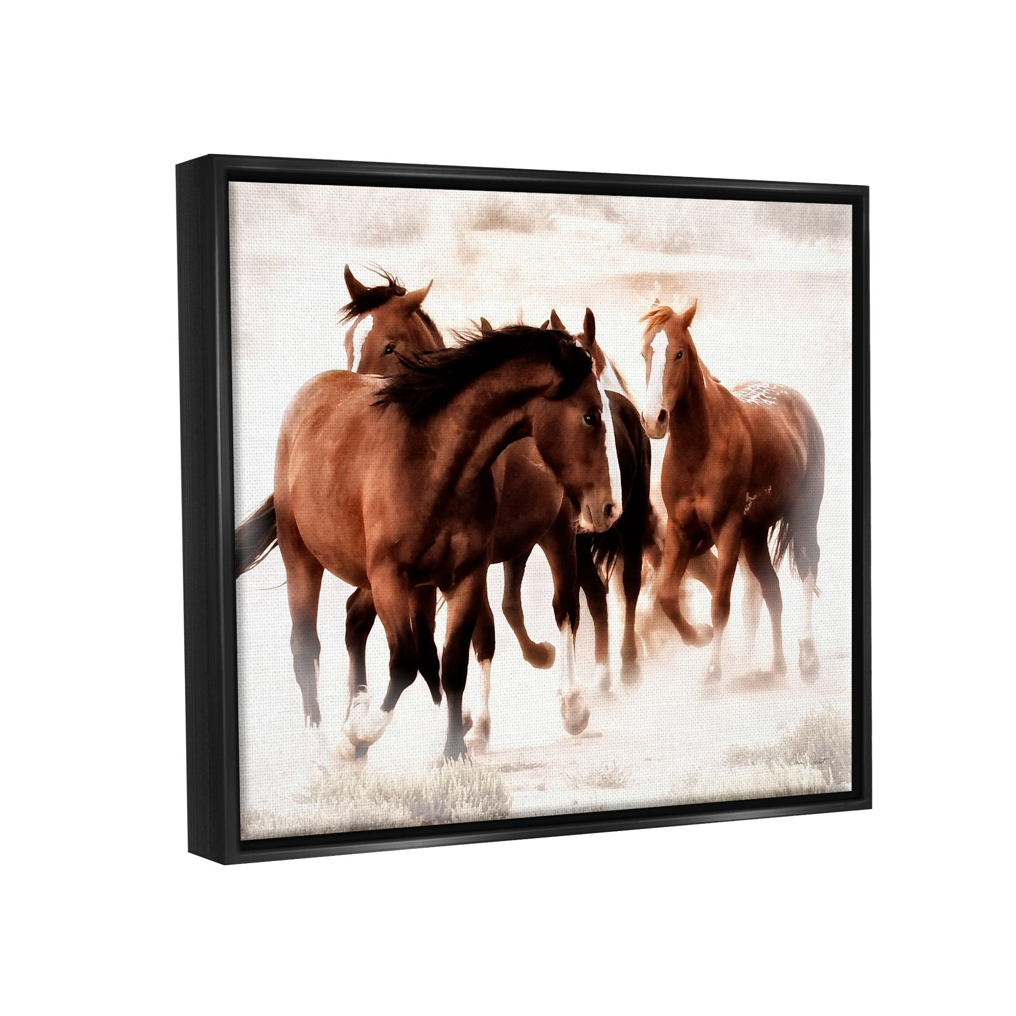 Stupell Industries Trotting Brown Horses Animals & Insects Photography Black Floater Framed Art Print Wall Art, 31 x 25