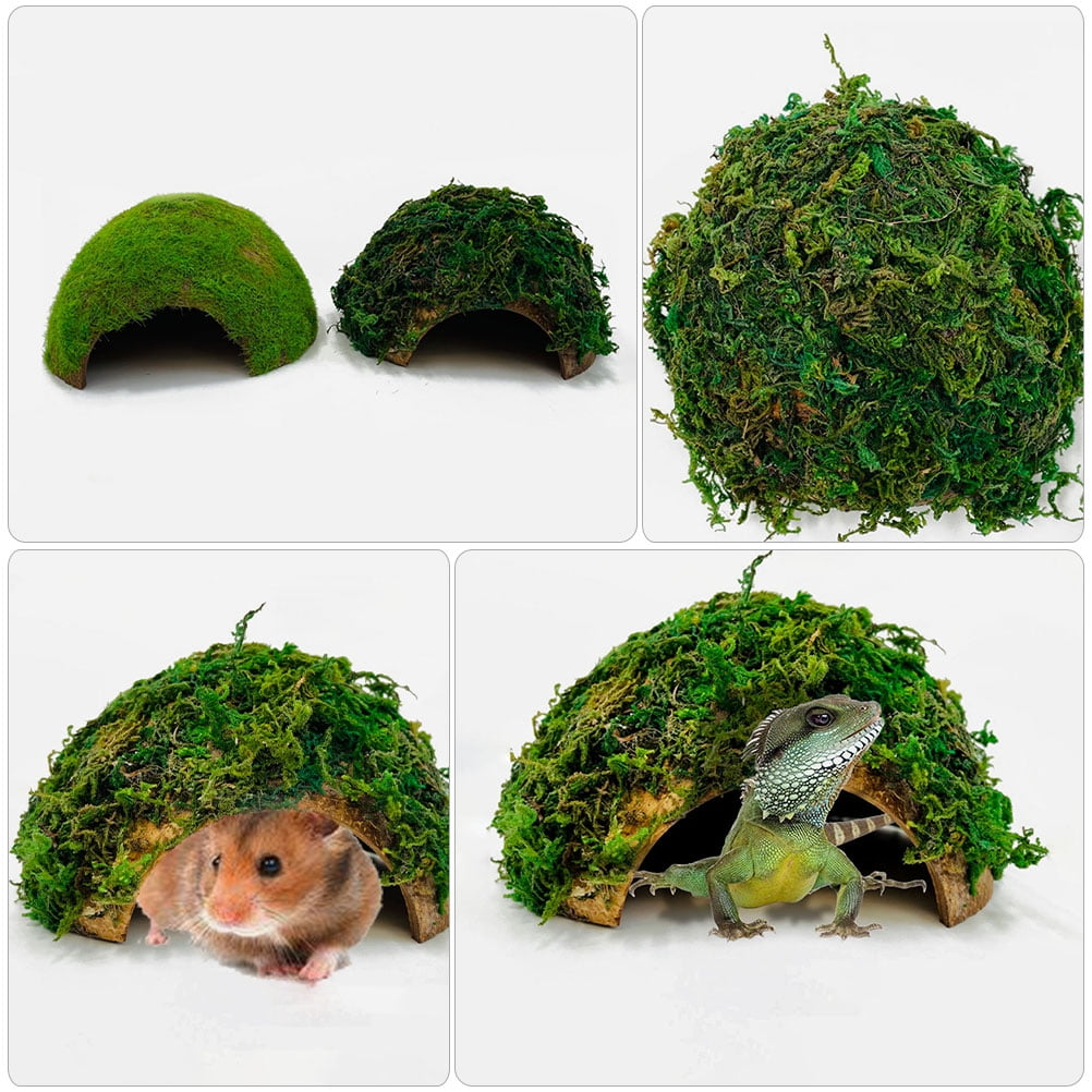 Reptiles Box Ornament Hamster Hiding Cave Reptiles Decorative