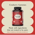 thumbnail image 2 of Cranberry Gummies - 60 Count, Urinary Tract Health Support, Complete Natural Products, 2 of 6