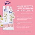 thumbnail image 3 of Crema de manos SwissJust Manzanilla 100 ml Protectora, 3 of 6