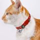 thumbnail image 3 of Collar Para Gatos/Perros Con Cascabel Para Acción De Gracias, 5 Unidades, Con Cierre De Seguridad Para Otoño, Navidad Y Otoño, Suave Y Ajustable, Con Hebilla De Liberación., 3 of 4