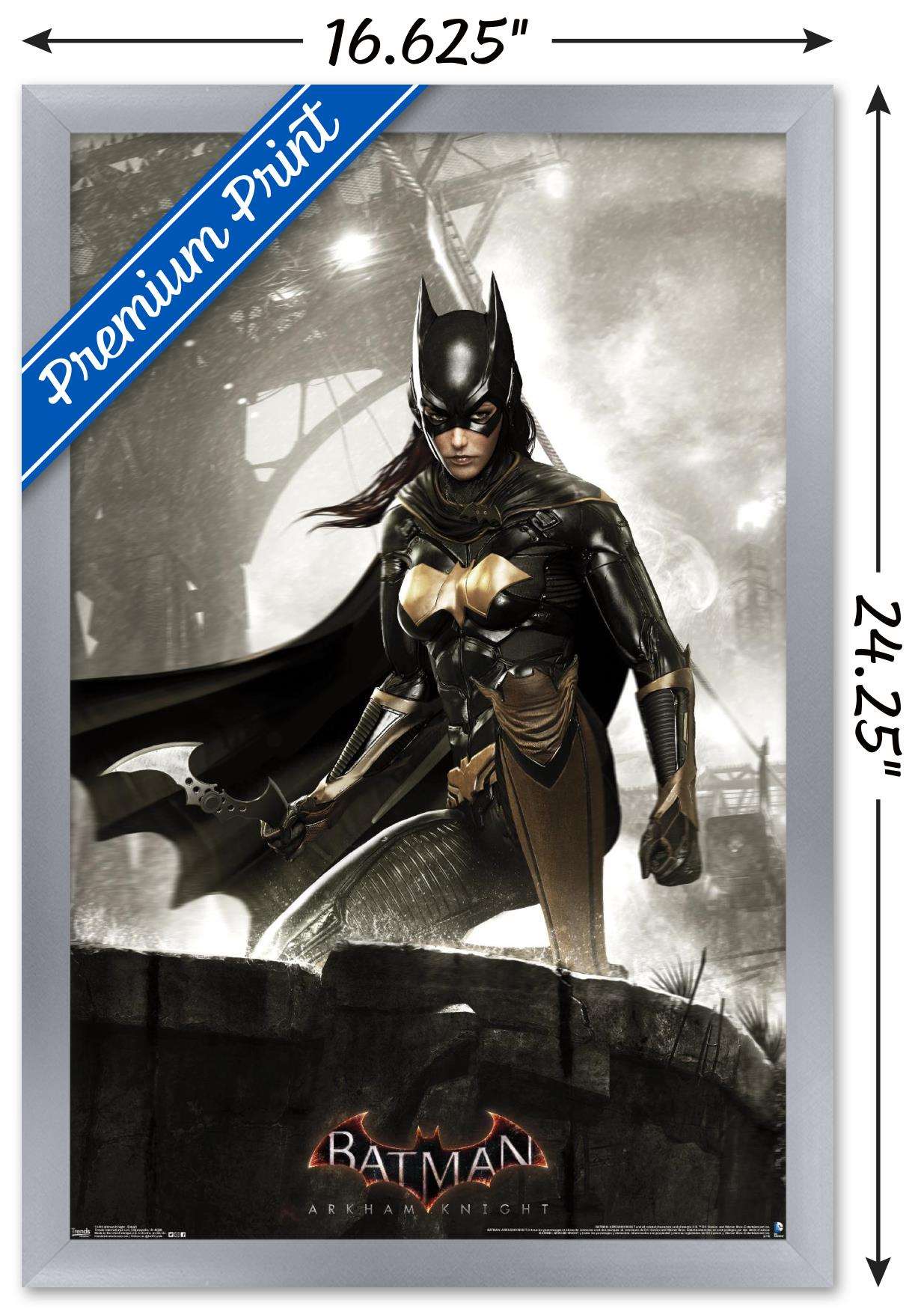 DC Comics Video Game - Arkham Knight - Batgirl Wall Poster, 14.725" x 22.375", Framed