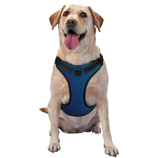 Balery teal blue Arnés para Perros Grandes Antitirones, Arnés con Correa para Gato, Arnés Tipo Chaleco para Perros Pequeños-Large