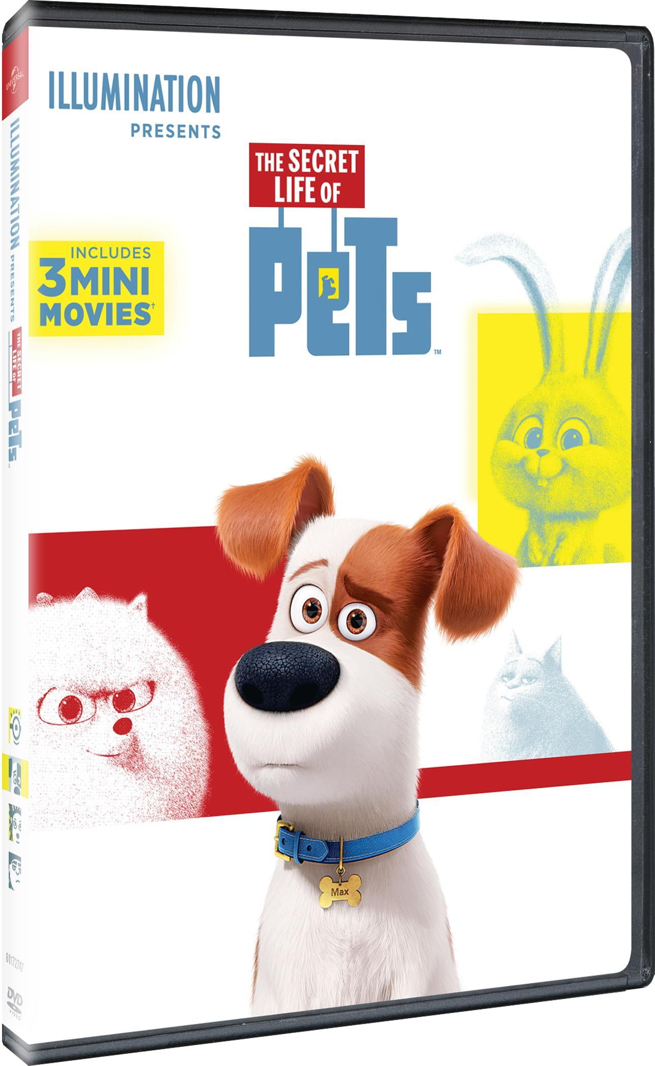 Universal Studios: The Secret Life of Pets - Kids & Family Movie