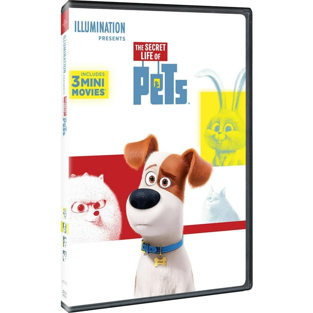 Universal Studios: The Secret Life of Pets - Kids & Family Movie