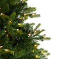 thumbnail image 4 of Nearly Natural 9ft. North Carolina Spruce Artificial Christmas Tree with 750 Clear Lights and 1912 Bendable Branches, 4 of 10