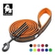 thumbnail image 2 of Truelove Soft Mesh Nylon Dog Leash Double Trickness  Running Reflective Safe Walking Training Pet Dog Lead Leash Stock 200cm Hot ShopWise Round, 2 of 17