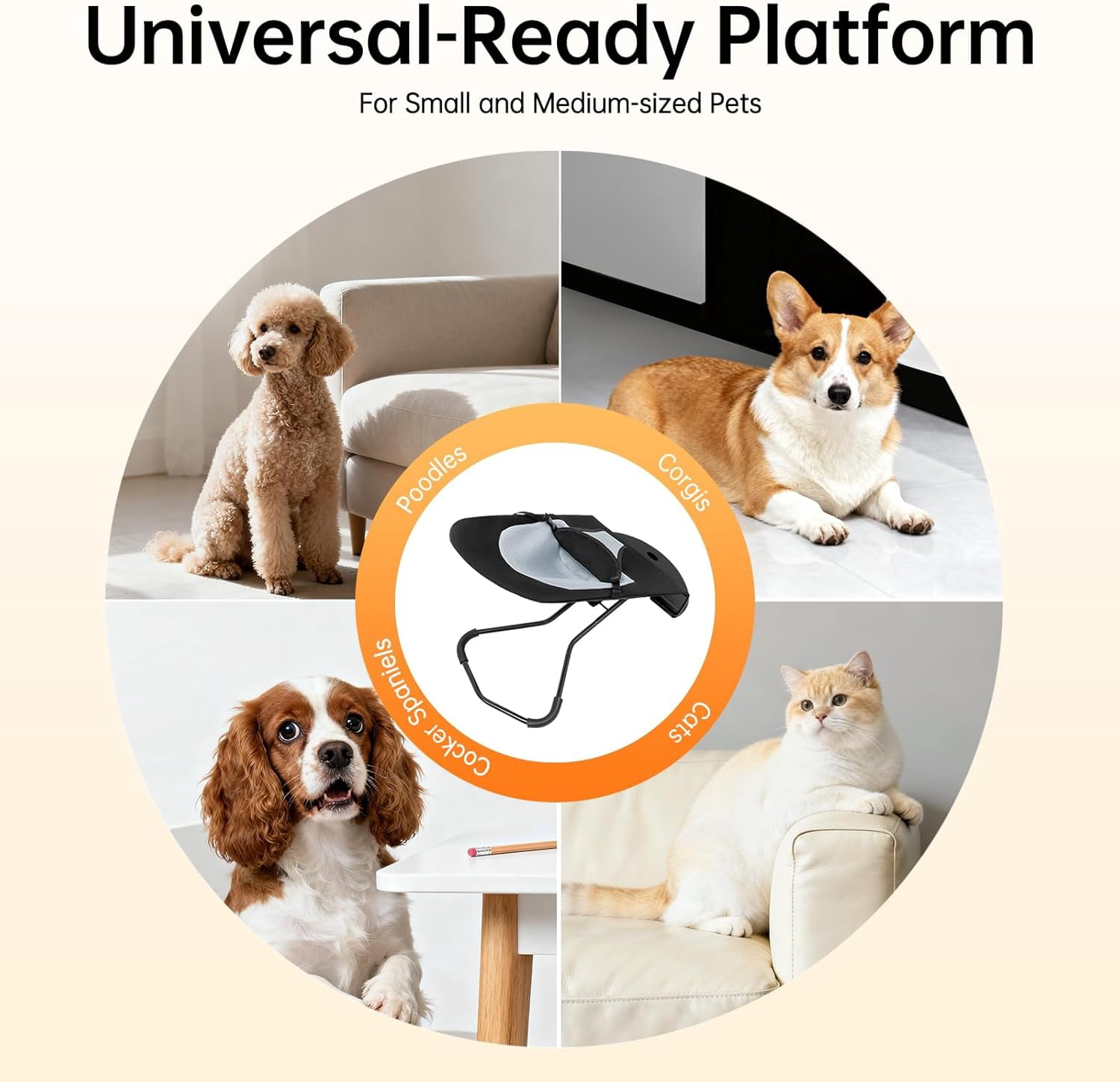 Cat Dog Rocking Chair, Portable Foldable Breathable Pet Bed with 3-Level Adjustable Height, No Installation Required, Easy to Clean for Small Dogs Cats Up to 33lbs