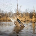 thumbnail image 2 of Higdon Pulsator Pro Mallard Drake and Hen Decoy Combo, 2 of 5