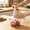 B, variant on Manual Food Chopper with Container, Hand Push Express Manual Food Chopper with Container, Stainless Steel Blades Vegetable Dicer Mincer for Onion Garlic Chili Meat Nuts Herbs, Dishwasher Safe
