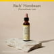 thumbnail image 5 of Bach Flower Essences Hornbeam | Carpe 20 ml (0,7 oz. líq.), 5 of 6