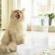 thumbnail image 2 of recipiente para almacenar alimentos, comedero automático para mascotas, contenedor de alimentación para gatos y perros, 2 of 7