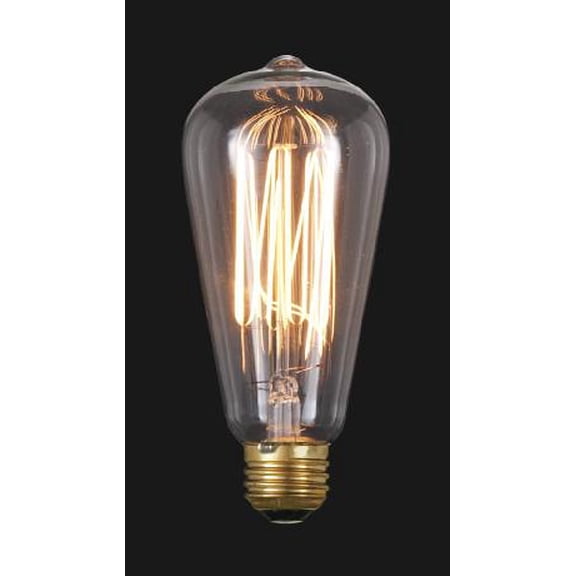 B&P Lamp® Edison Base Squirel Cage Style Light Bulb, 30 Watt