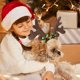 thumbnail image 5 of Correa para la cabeza con cuernos de reno para perro, gorro de Papá Noel, disfraz navideño para mascota, accesorios para tocado de perro y gato, 5 of 5