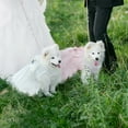 thumbnail image 6 of QBLEEV Dog Pink Wedding Dress for Small Medium Girl Dogs，Sweet Dog White Princess Dresses with Bowknot,Pet Lace Costume Summer Apparel Formal Clothes for Wedding, 6 of 7