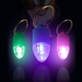 thumbnail image 2 of Miangastore 1set Pet Pendants Lightweight For Dogs Outdoor Warning Keychain Attachments Creative 3pcs, 2 of 8