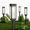 8-Cool White (Cylinder), variant on Solar Pathway Lights 12 Pack 3 Heights Warm White Ip65
