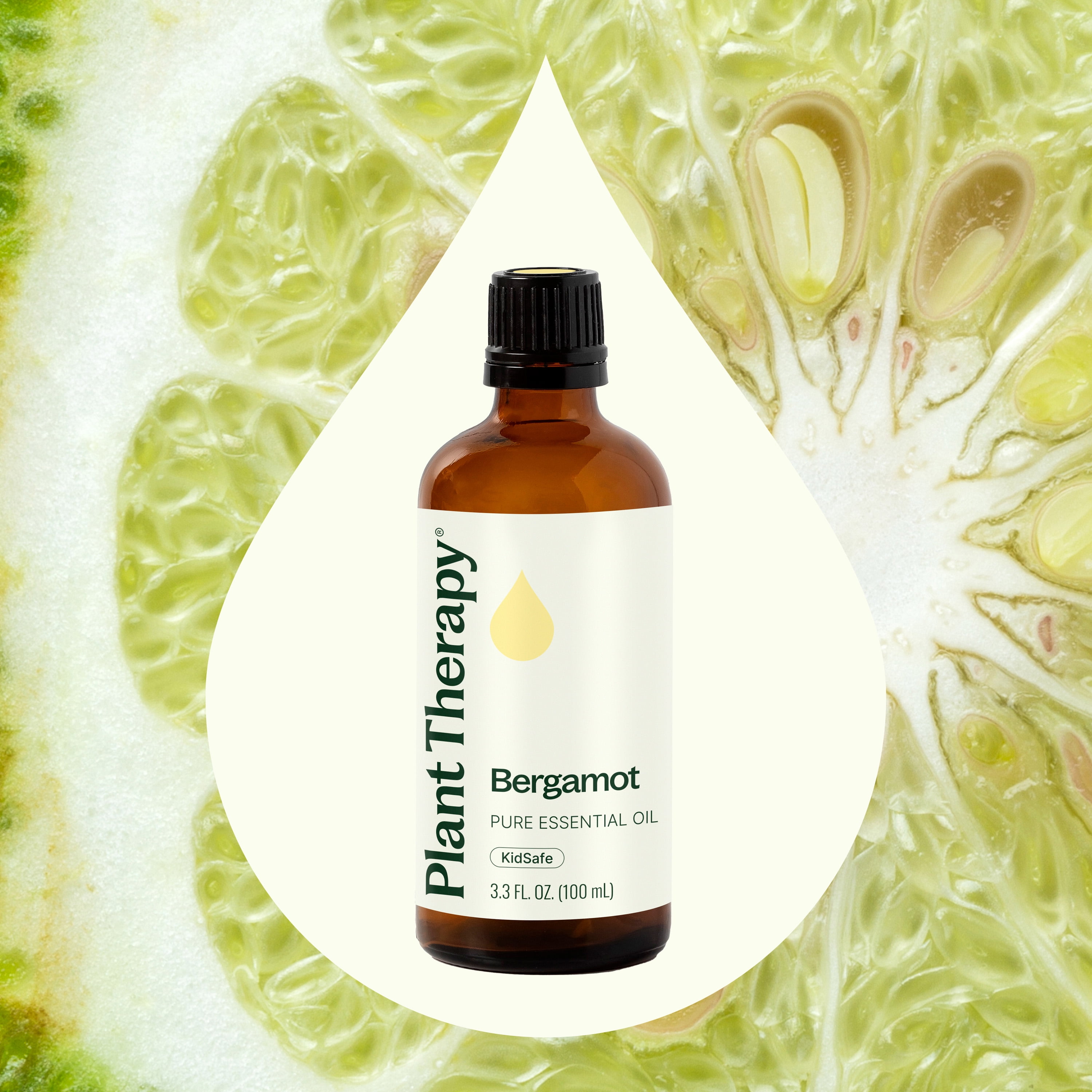 Plant Therapy Bergamot Essential Oil 100% Pure, Undiluted, Natural Aromatherapy 100 mL (3.3 oz)