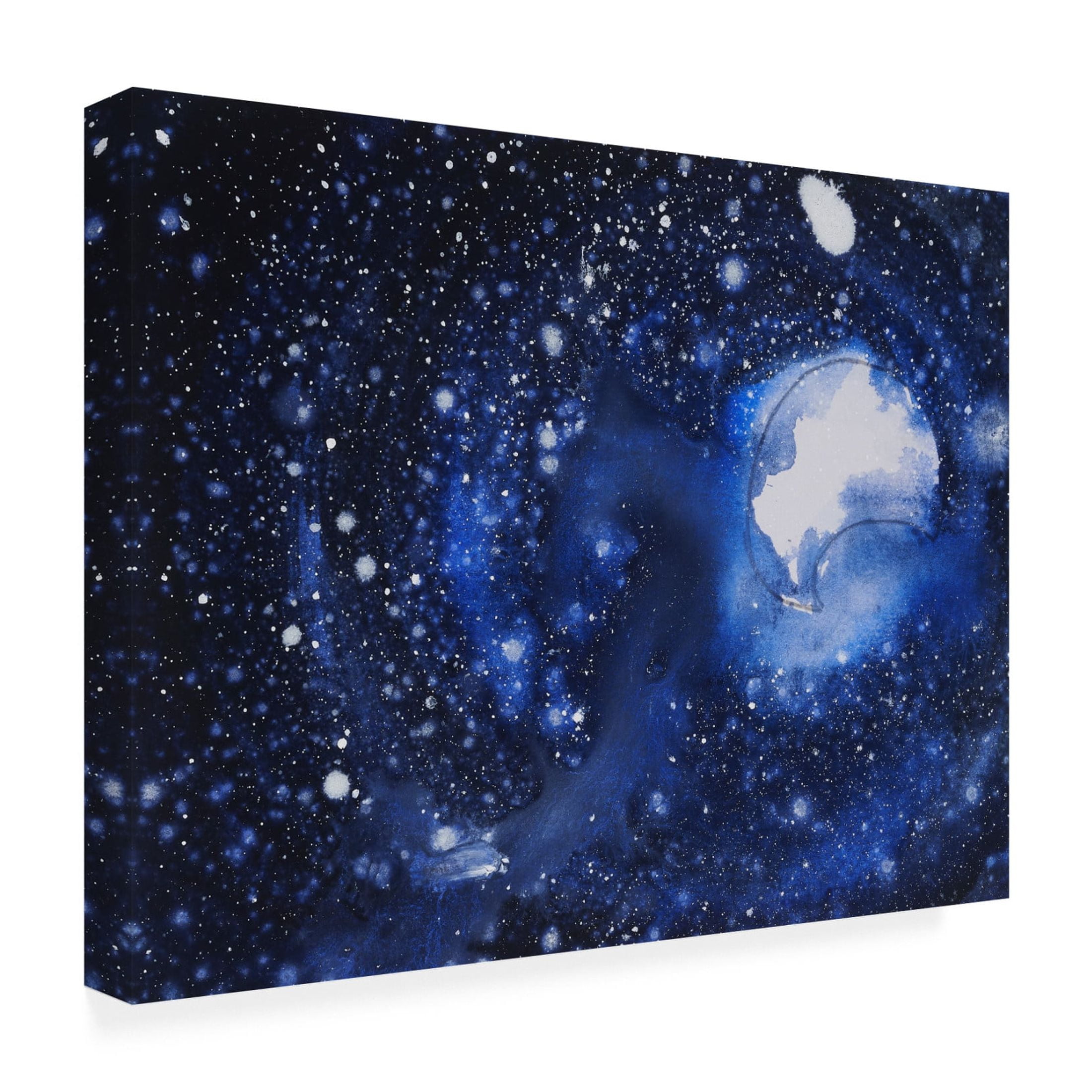 Canvas Wall Art - Erin McGee Ferrell 'Starry Night Sky II' Wall Art for Living Room, Bedroom, or Office Décor by Trademark Fine Art - 24 x 18 Inches