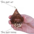 thumbnail image 5 of Van Zyverden Amaryllis & Paperwhite Duo Two Pack Kits with Artisan Decorative Planters and 5 Bulbs Multicolor Partial Sun Perennial Easy to Grow 4 lbs, 5 of 6