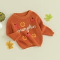 thumbnail image 7 of Okbabeha Toddler Baby Girl Boy Knit Sweater Pumpkin Long Sleeve Pullover Crewneck Sweatshirt Fall Halloween Baby Clothes, 7 of 7