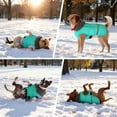 thumbnail image 4 of Hearth & Gear Insulated Reflective Coat With Adjustable High Collar For Winter Warmth And In Cold Weather Outdoor Adventures Pet Clothes Rack Hanger Pet Clothes Rack Pet Clothes for Medium Dogs Boys, 4 of 6